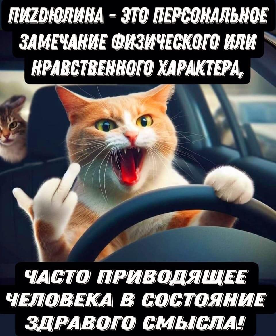 ПИ2ОЮЛИНА ЭТО ПЕРСОНАЛЬНОЕ ЗАМЕЧАНИЕ ФИЗИЧЕСКОГО ИЛИ ЧАСТО ПРИВОДЯЩЕЕ ЧЕЛОВЕКА В СОСТОЯНИЕ ЗДРАВОГО СМЫСЛА