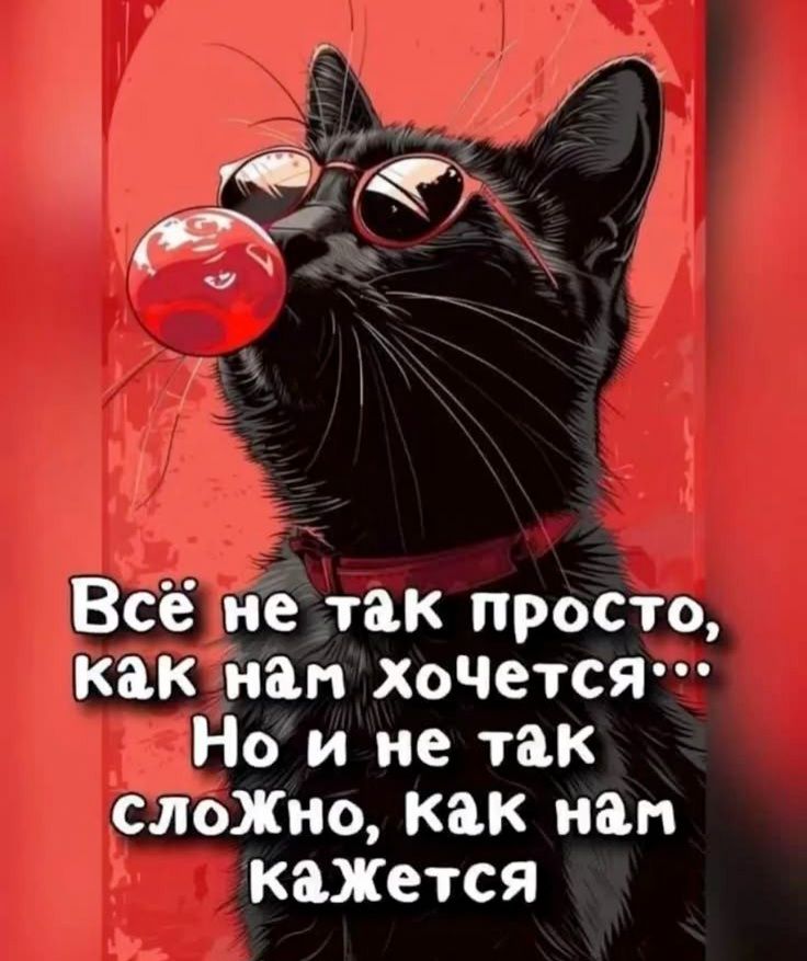 Все не так просто кКакнам хоЧется Нои не так слоЖно как нам кажется