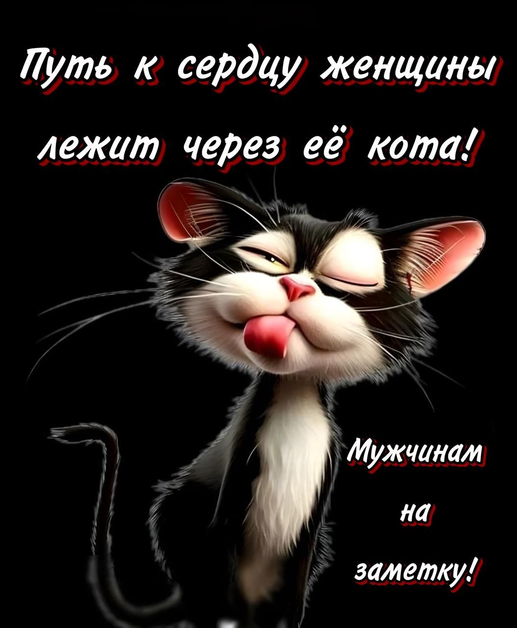 Путь к сердцу женщаны лежаит через её кота Мужчинам на заметку