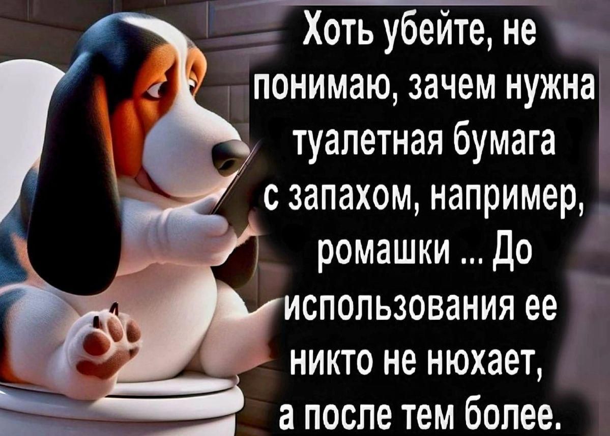 Хоть убейте не 0 понимаю зачем нужна туалетная бумага с запахом например ромашки До использования ее никто не нюхает за отннНННМ а после тем более
