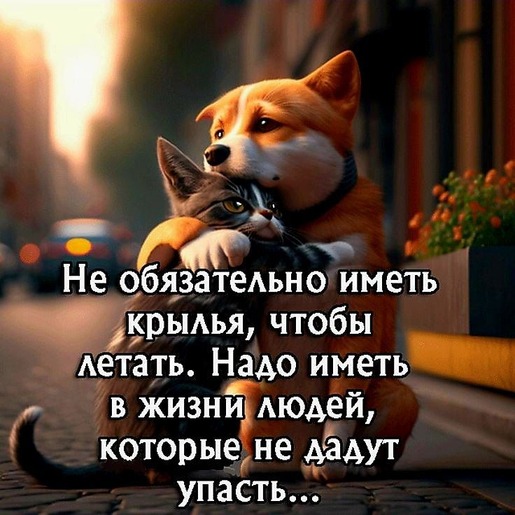 о ча Необязательно иметь крылья чтобы Аетать Надо игеть_ в Жизнй людей которыене ладут упасть