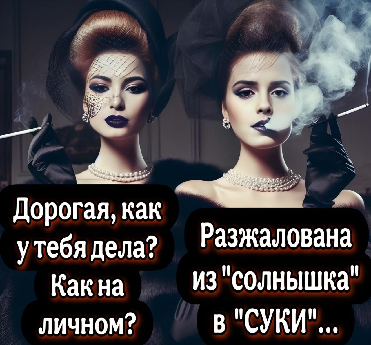 Дорогая как а утебядела Разжалована Какна изсолнышка личном в СУКИ