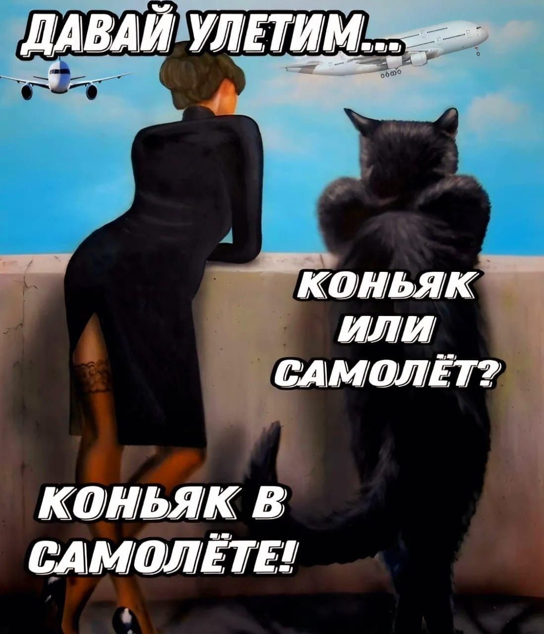 КОНЬяЯК В САМОЛЁТЕ