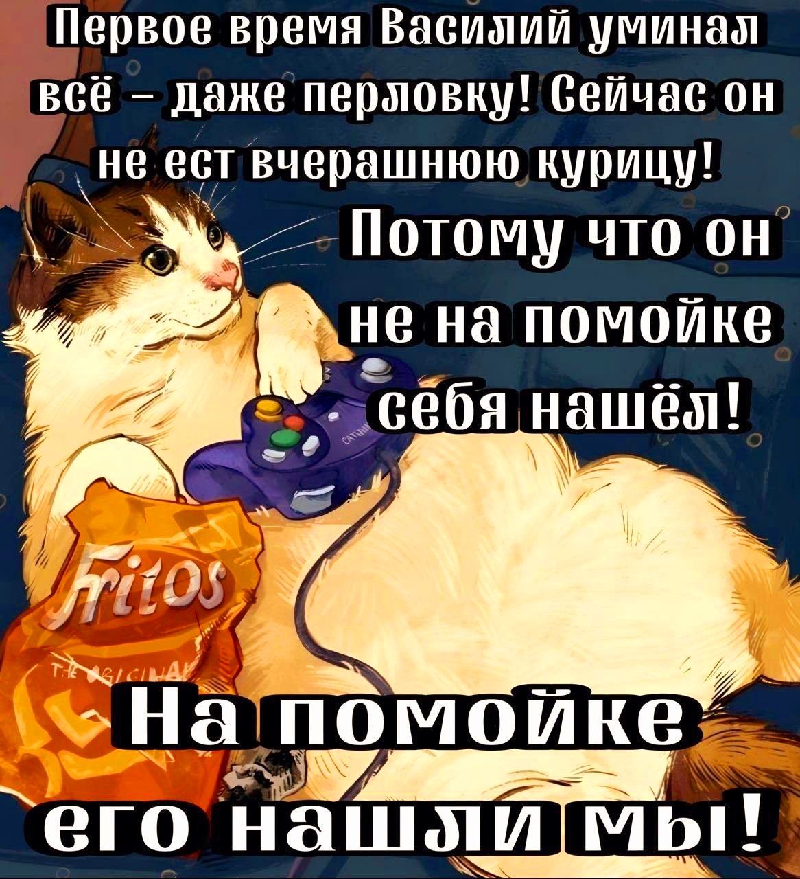 Первое время Василий уминая всё даже перловку Сейчас он не ест вчерашнюю курицу е угго На помоике Лр его нашпиімы