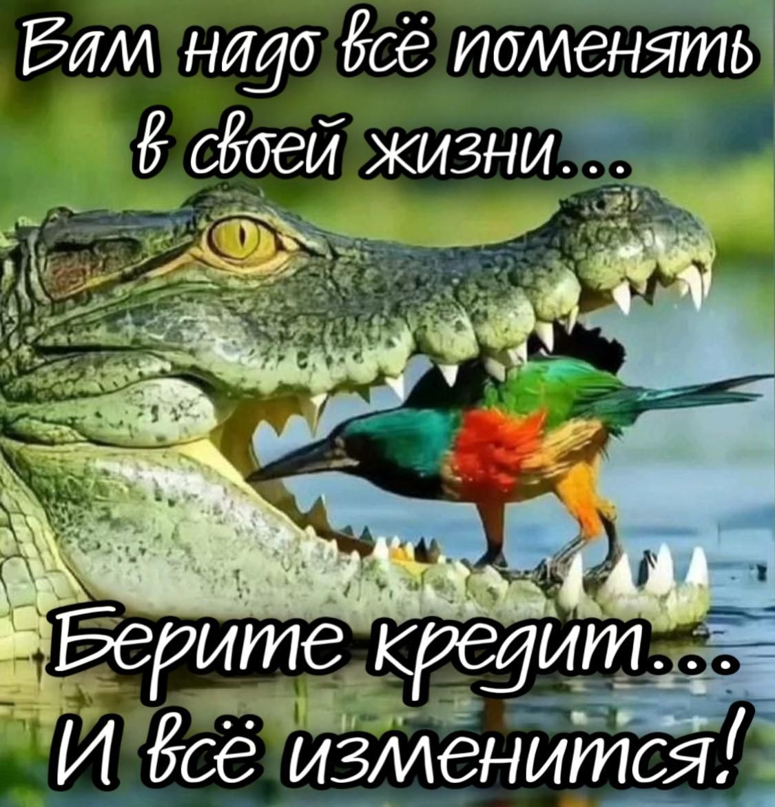 Рлллнадо 6сё поленяты в своей Жизни аЦ ВСрителкредитт Ивсё изменится