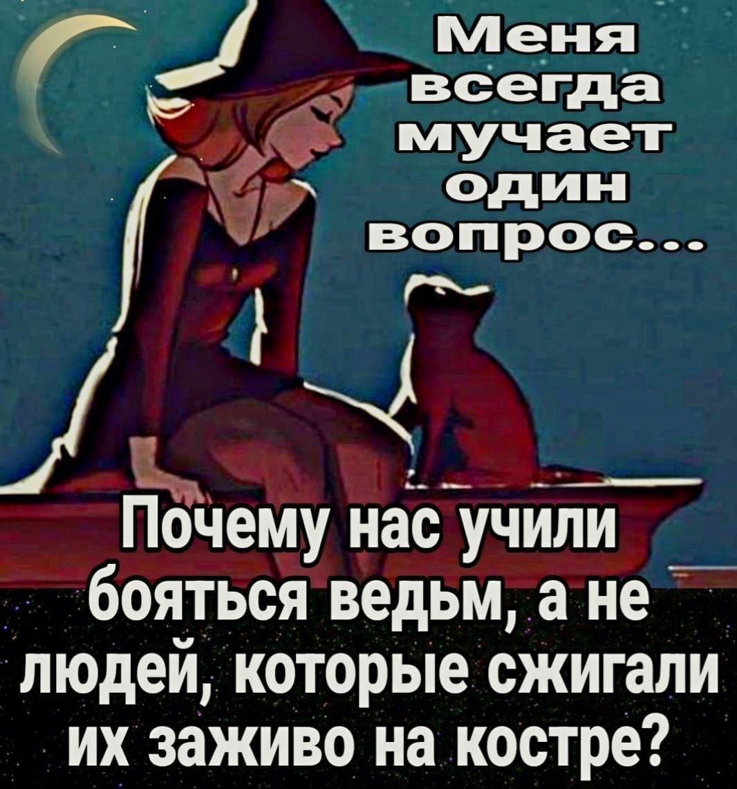 йд К мучает я один вопрос я і 2 ЛОВ Почему н нас учили боятьсяведьм а не людей которые сжигали их заживо на костре