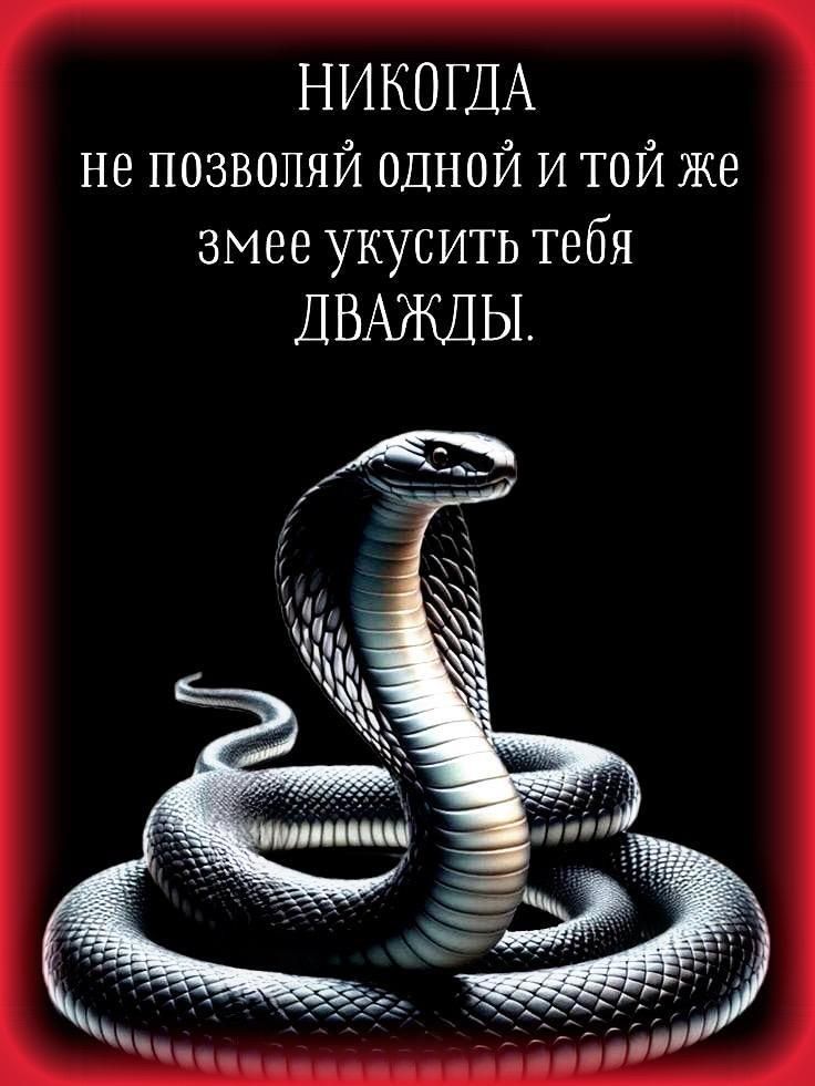 НИКОГДА не позволяй одной и той же змеe укусить тебя ДВАЖДЫ.
