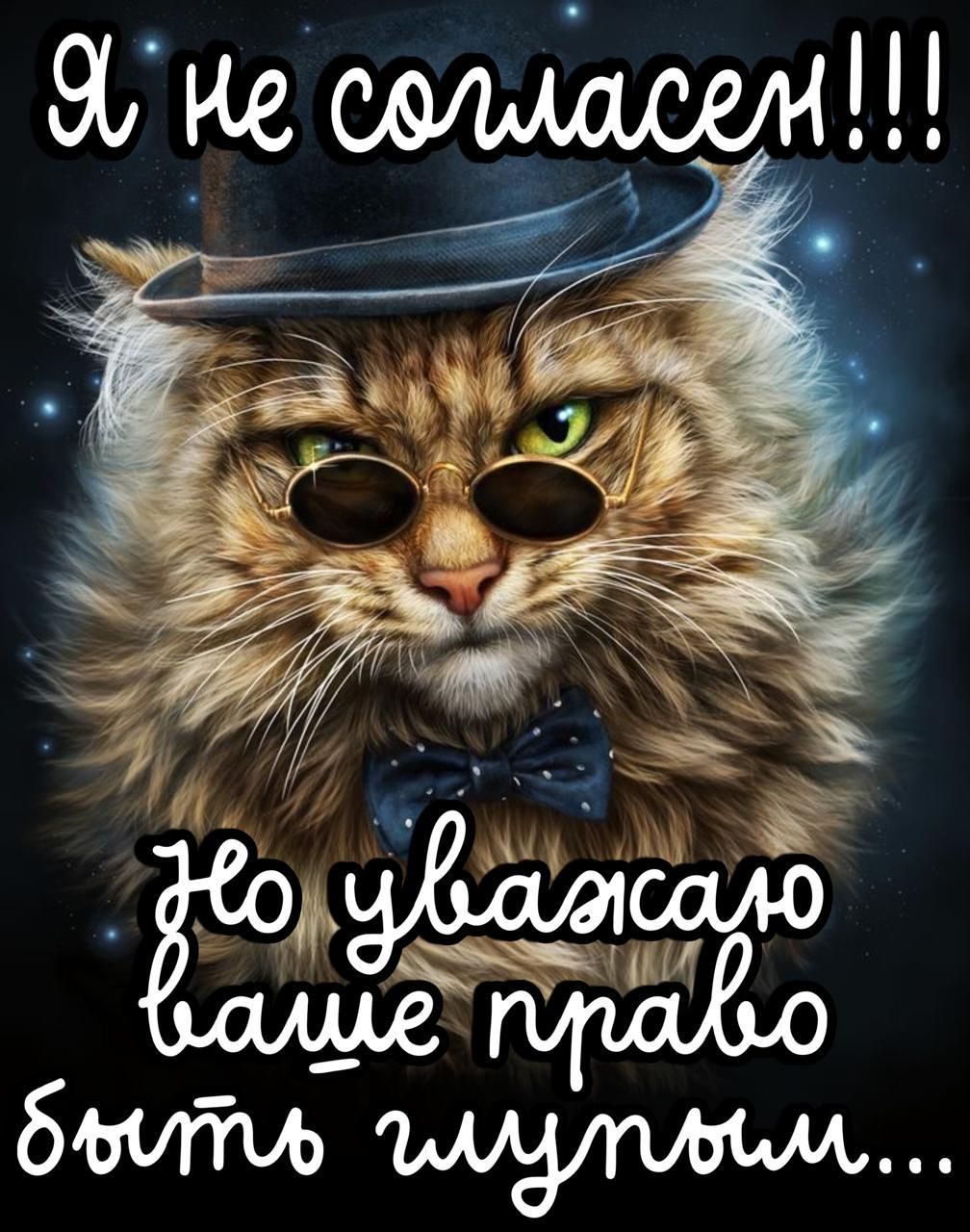 Я не согласен!!! Но уважайте ваше право быть глупым...