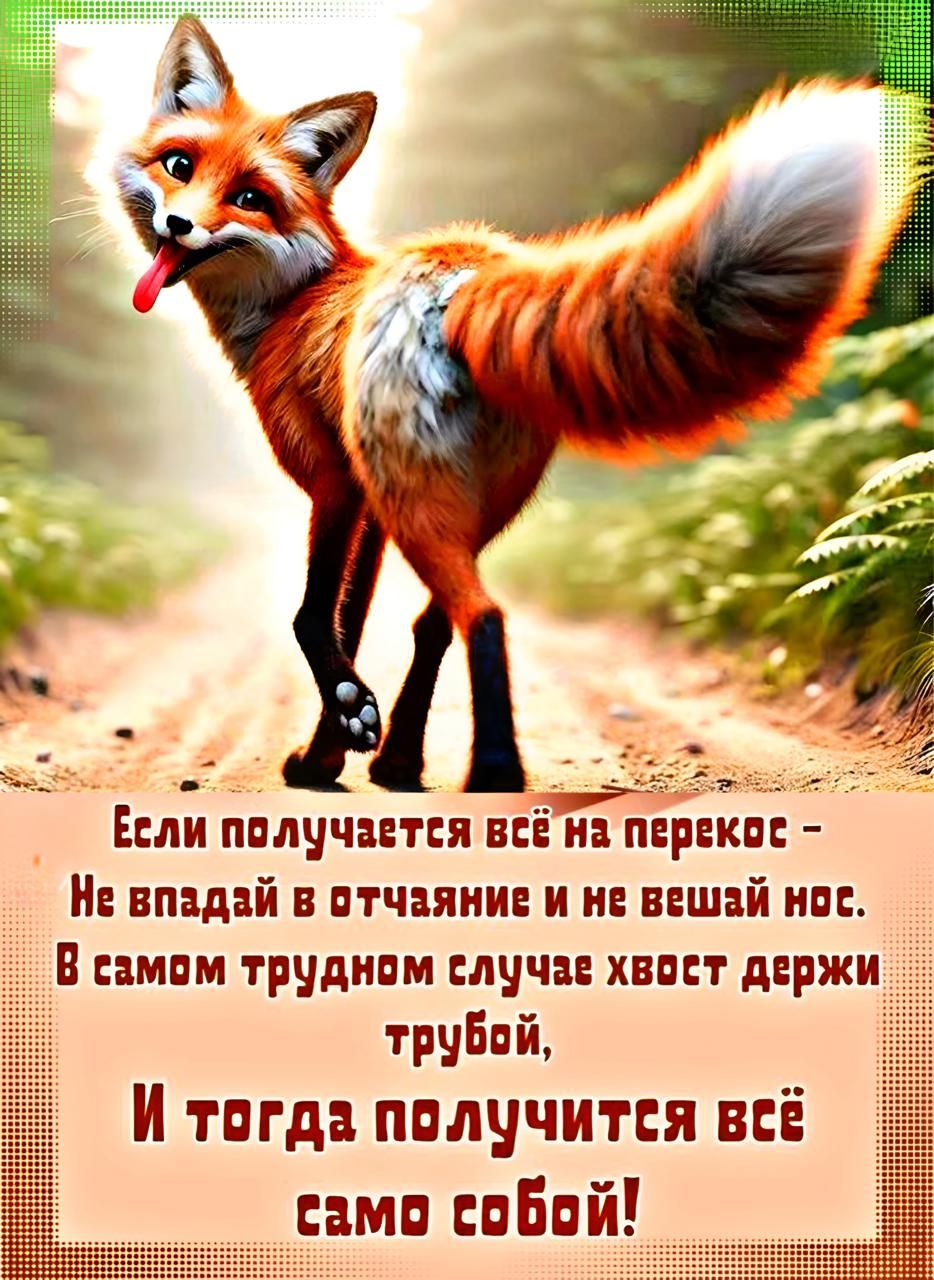 Если получается всё на перекос - Не впадай в отчаяние и не вешай нос. В самом трудном случае хвост держи трубой, И тогда получится всё само собой!