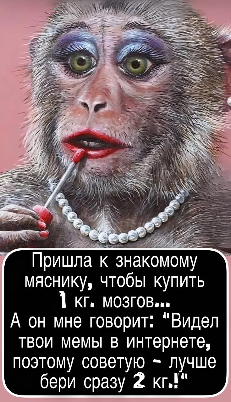 Пришла к знакомому мяснику, чтобы купить 1 кг мозгов… А он мне говорит: 