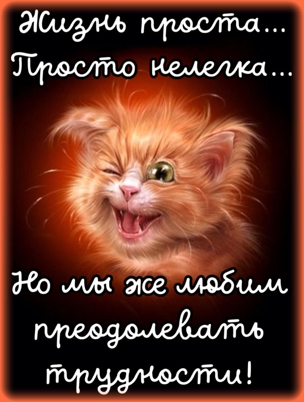 Жизнь проста... Просто нелегка... Но мы же любим преодолевать трудности!