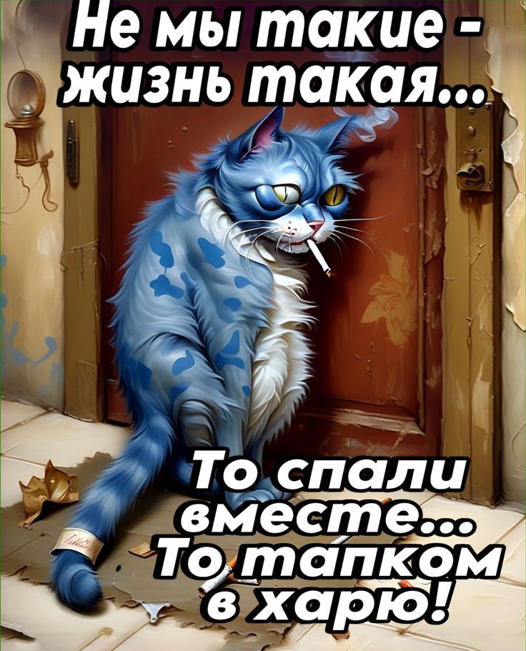 Не мы такие - жизнь такая... То спали вместе... То тапком в харю!