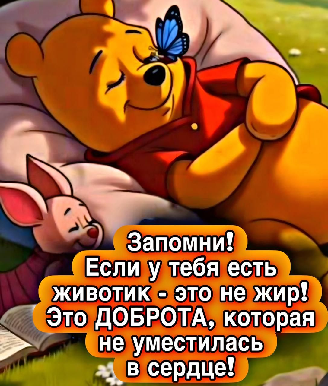 Запомни! Если у тебя есть животик - это не жир! Это ДОБРОТА, которая не уместилась в сердце!