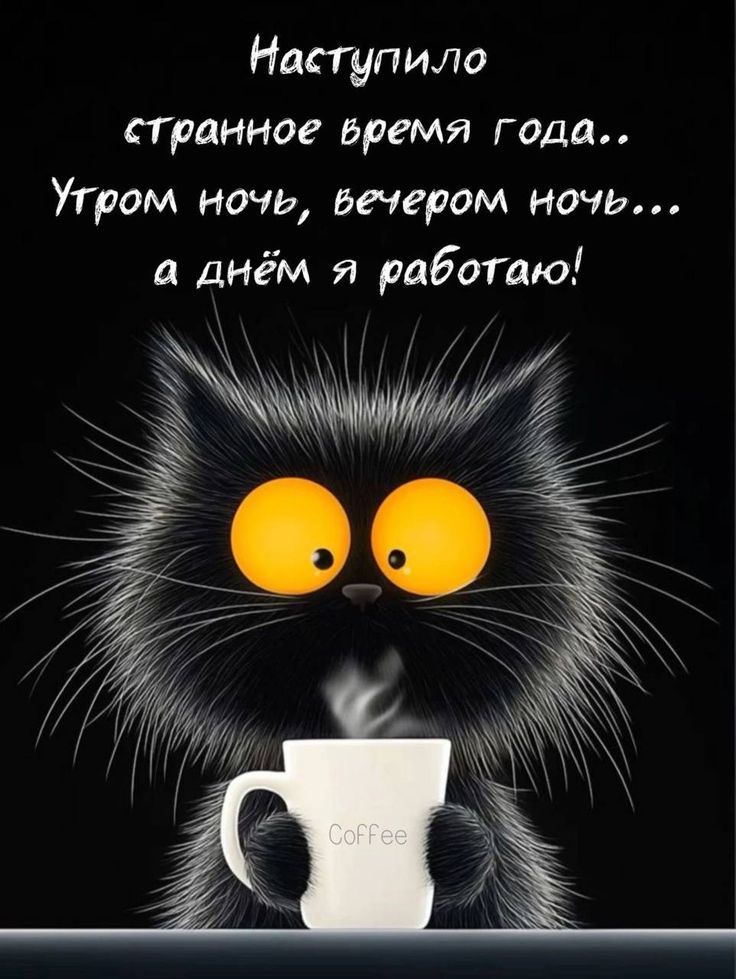 Наступило странное время года..
Утром ночь, вечером ночь...
а днём я работаю!