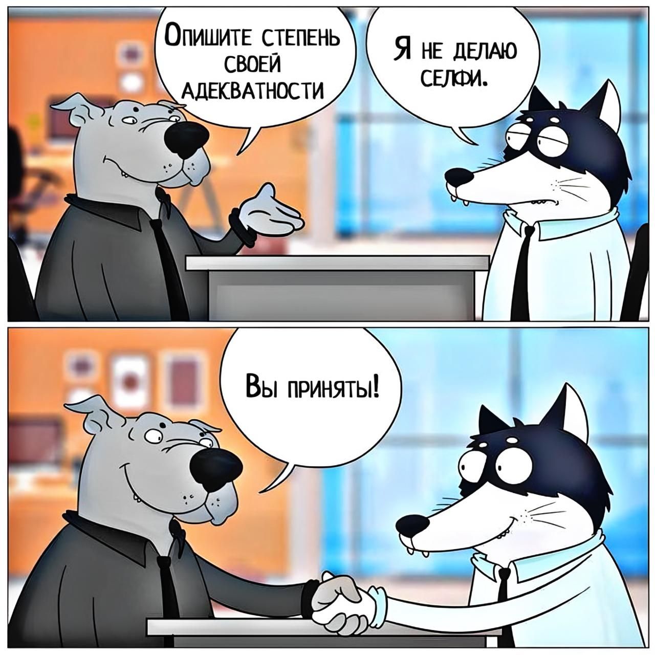 Опишите степень своей адекватности
Я не делаю селфи.
Вы приняты!