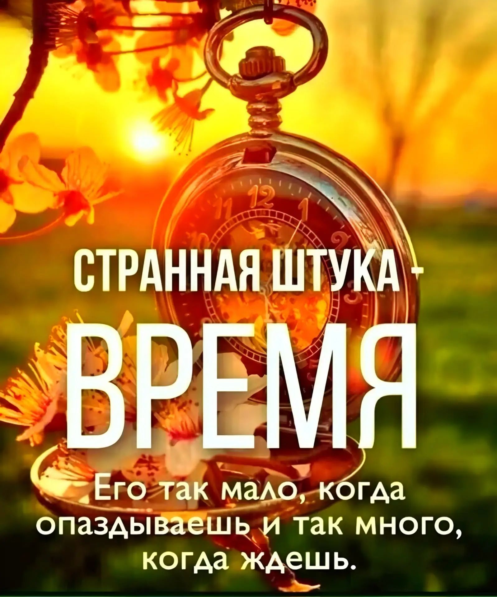 СТРАННАЯ ШТУКА - ВРЕМЯ\nЕго так мало, когда опаздываешь и так много, когда ждешь.