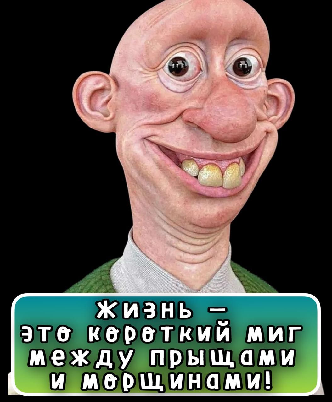 Жизнь – это крошительный миг между прыщами и морщинами!