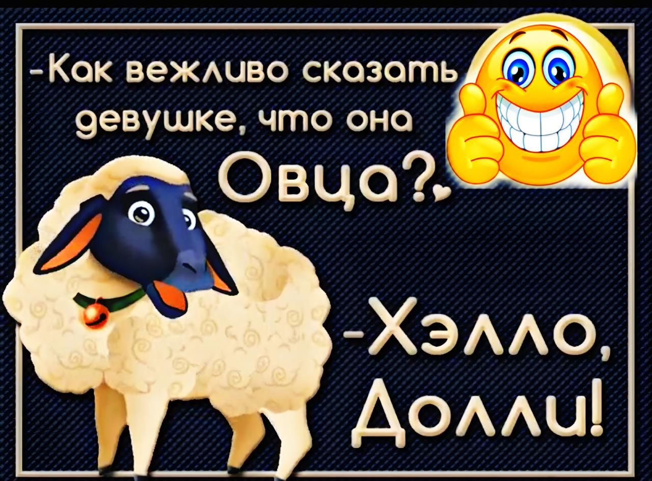 Как вежливо сказать девушке, что она Овца? -Хэлло, Долли!
