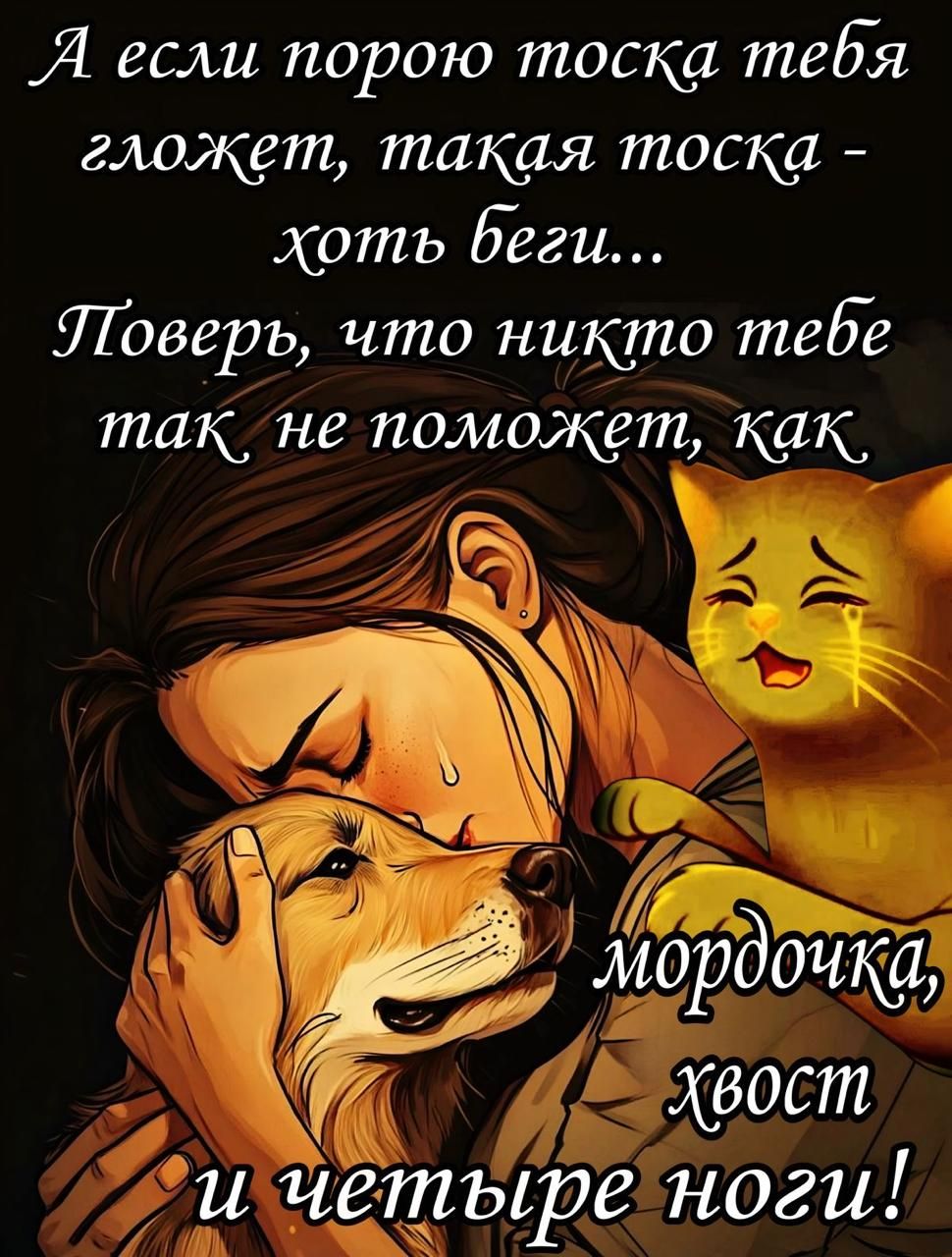А если порою тоска тебя гложет, такая тоска - хоть беги... Поверь, что никто тебе так не поможет, как мордочка, хвост и четыре ноги!