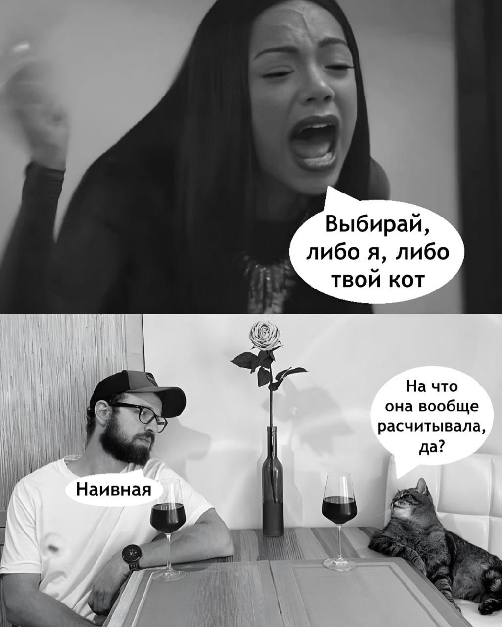 Выбирай, либо я, либо твой кот // На что она вообще рассчитывала, да? // Наивная