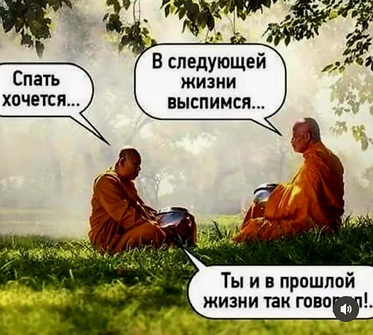Спать хочется...\nВ следующей жизни выписимся...\nТы и в прошлой жизни так говорил!