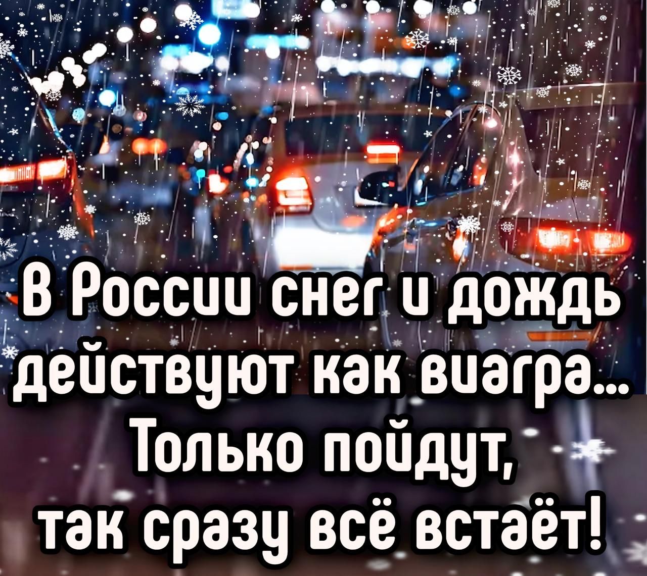 В России снег и дождь действуют как вайга... Только пойдут, так сразу всё встаёт!