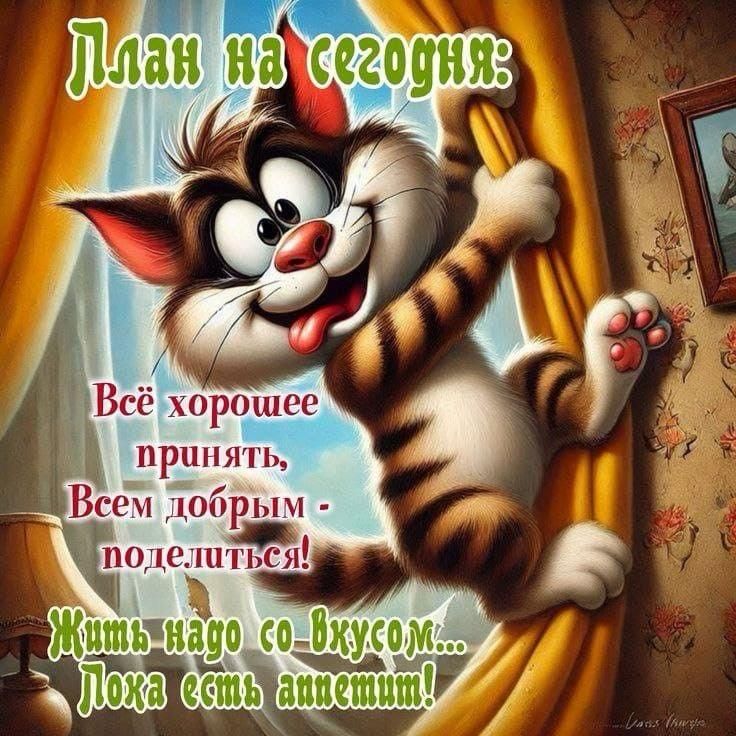 План на сегодня: Всё хорошее принять, Всем добрым - поделиться! Жить надо со вкусом... Пока есть аппетит!