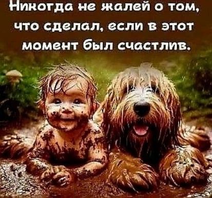 Никогда не жалей о том, что сделал, если в этот момент был счастлив.