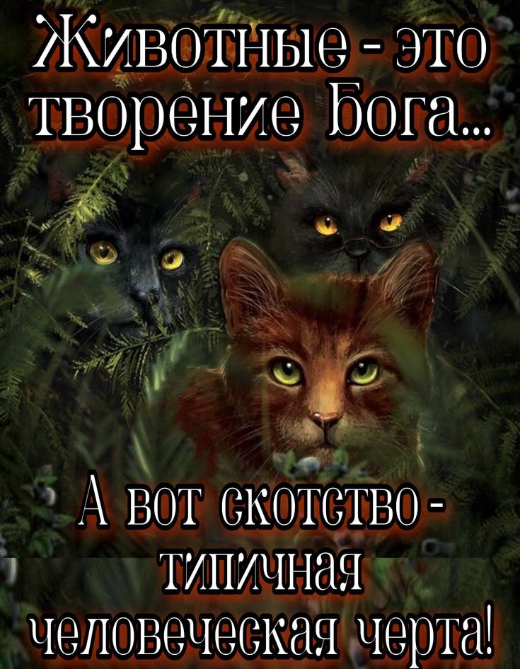 Животные - это творение Бога... А вот скотство - типичная человеческая черта!