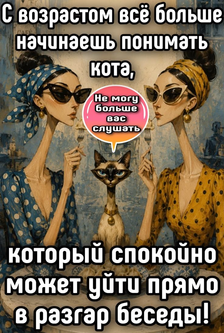 С возрастом всё больше начинаешь понимать кота, Не могу больше вас слушать который спокойно может уйти прямо в разгар беседы!