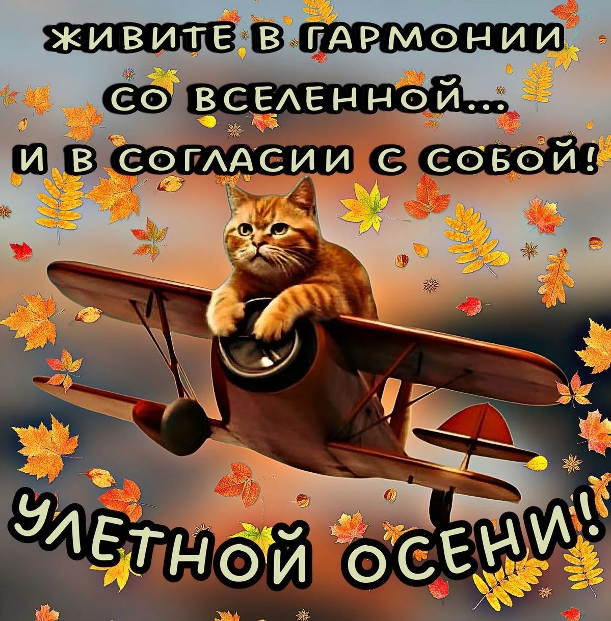 ЖИВИТЕ В ГАРМОНИИ СО ВСЕЛЕННОЙ... И В СОГЛАСИИ С СОБОЙ! УЛЕТНОЙ ОСЕНИ!