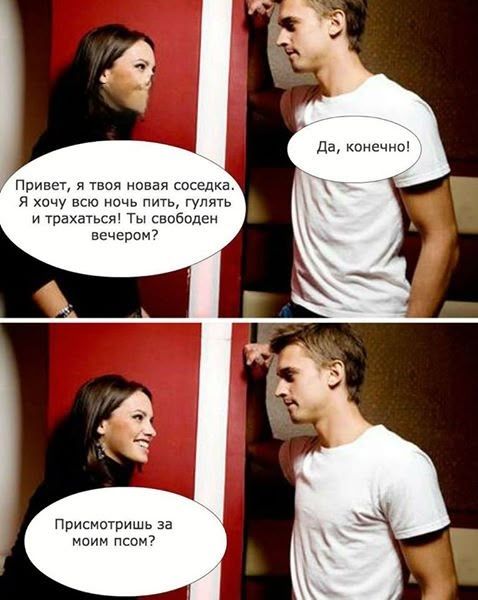 Привет, я твоя новая соседка. Я хочу всю ночь пить, гулять и трахаться! Ты свободен вечером? Да, конечно! Присмотришь за моим псом?