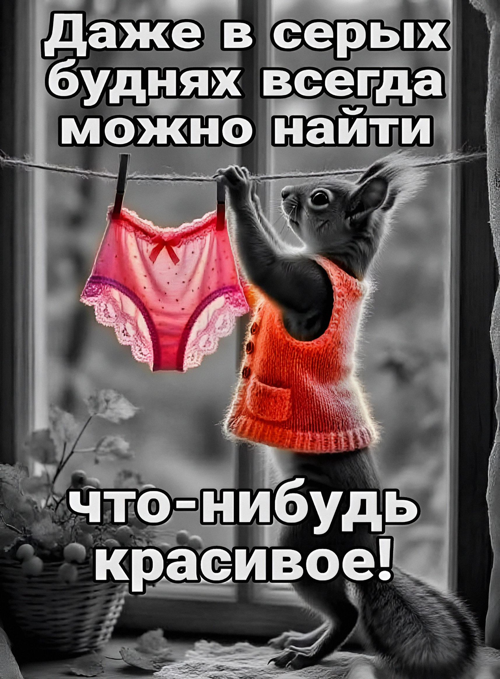 Даже в серых буднях всегда можно найти что-нибудь красивое!