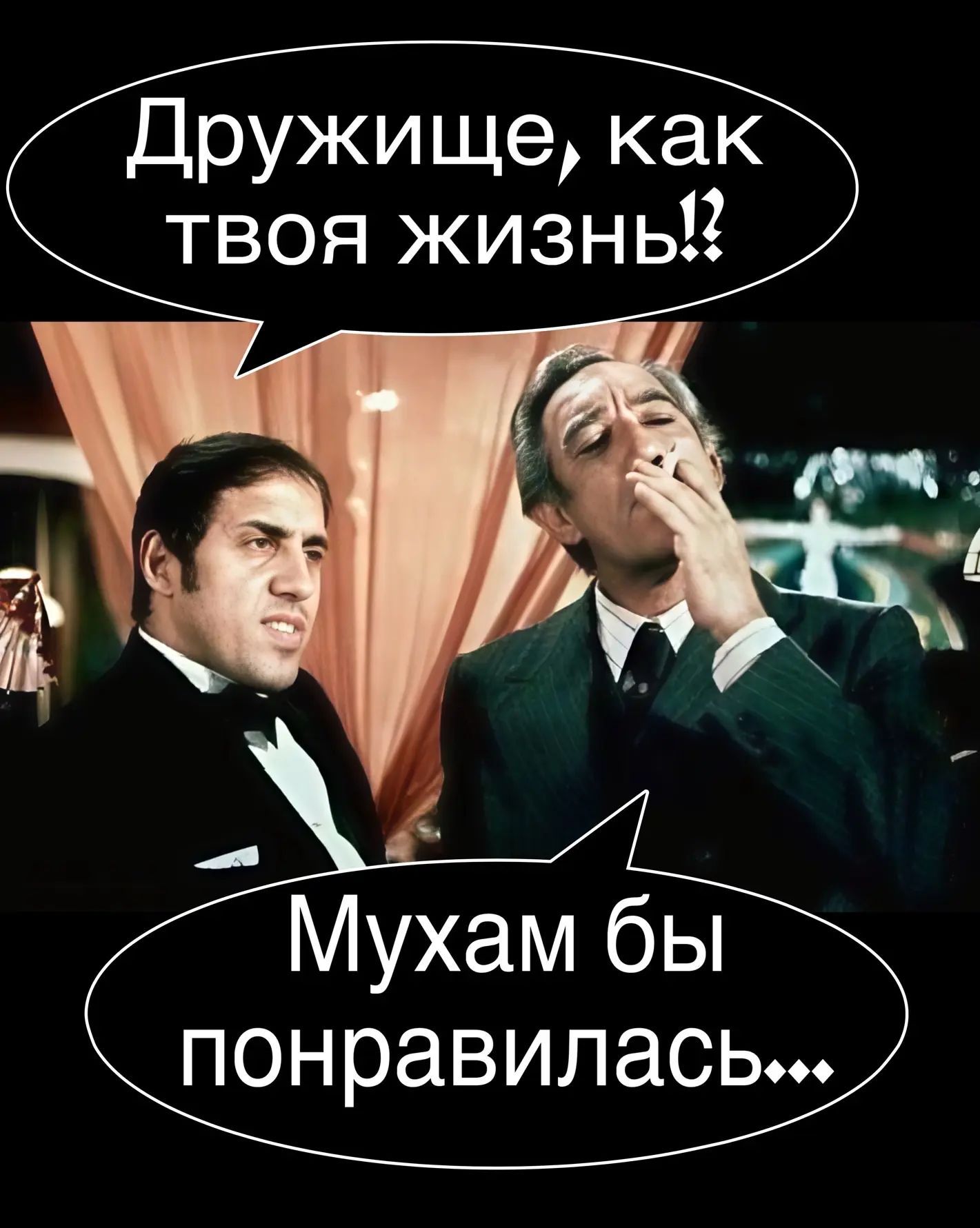 Дружище, как твоя жизнь!? Мухам бы понравилась...