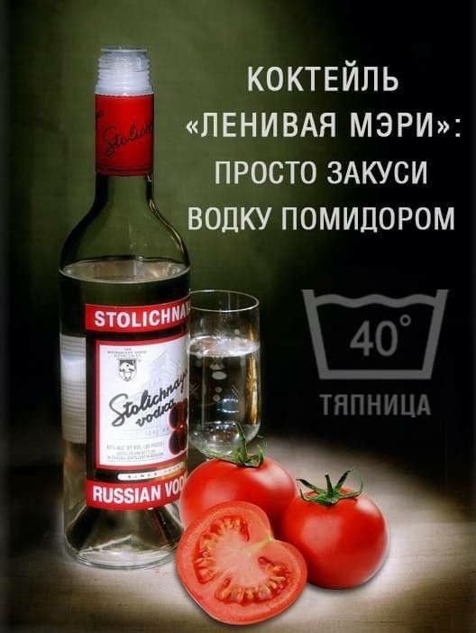 КОКТЕЙЛЬ «ЛЕНИВАЯ МЭРИ»: ПРОСТО ЗАКУСИ ВОДКУ ПОМИДОРОМ. 40°. ТЯПНИЦА. STOLICHNAYA vodka. RUSSIAN VODKA.