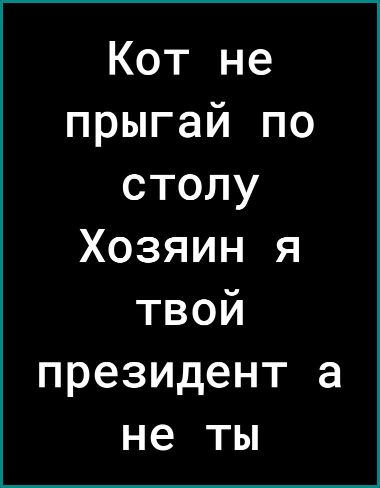 Кот не прыгай по столу Хозяин я тВойЙ президент а не ты