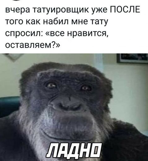 вчера татуировщик уже ПОСЛЕ того как набил мне тату спросил все нравится оставляем