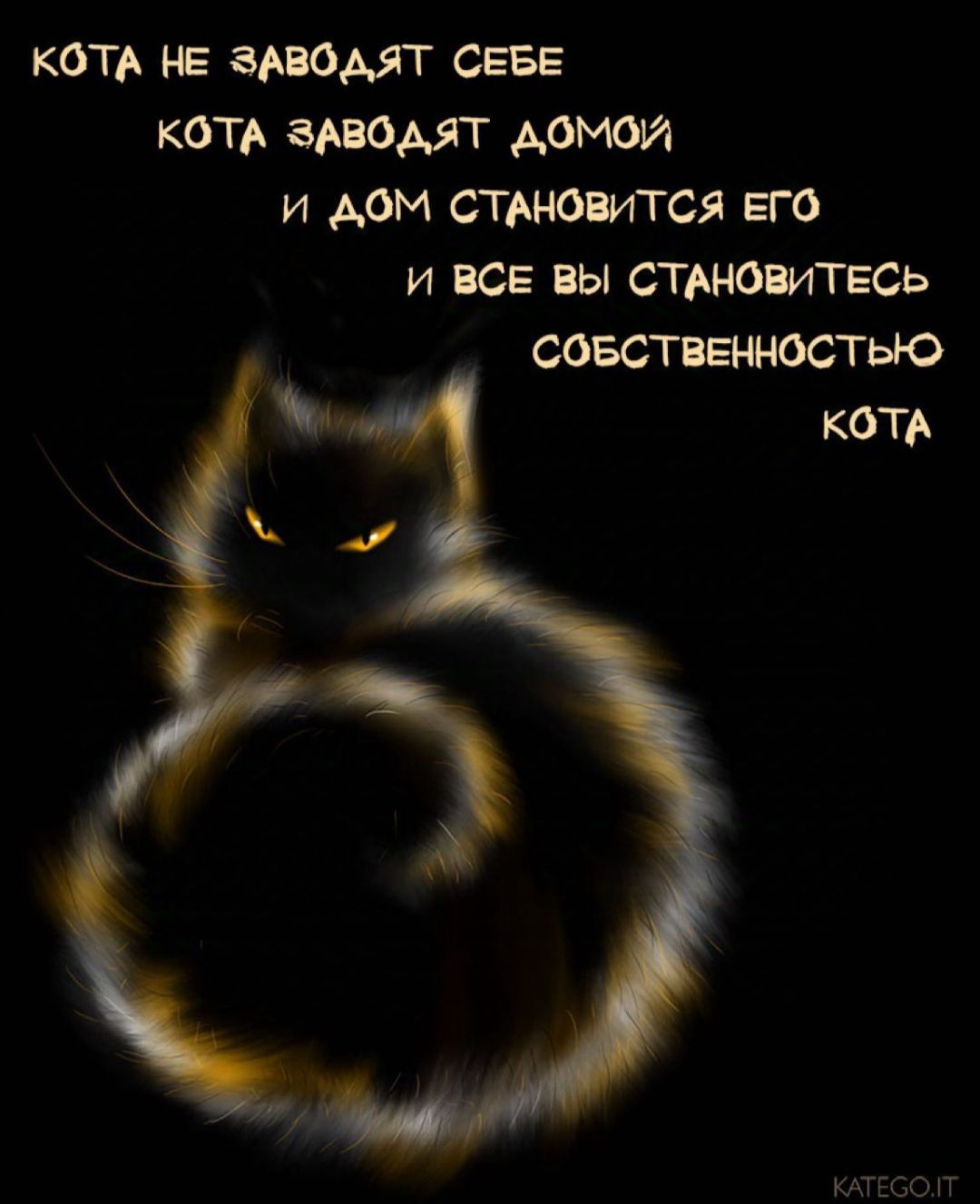 КОТА НЕ ЗАВОДЯТ СЕБЕ КОТА ЗАВОДЯТ ДОМОЙ И ДОМ СТАНОВИТСЯ ЕГО И ВСЕ ВЫ СТАНОВИТЕСЬ СОБСТВЕННОСТЬЮ ъ КОТА