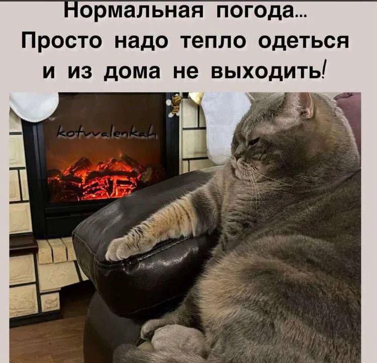 ормальная погода Просто надо тепло одеться и из дома не выходить
