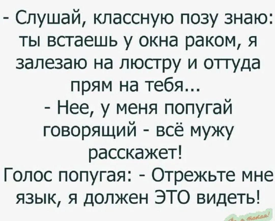 Слушай классную позу знаю ты встаешь у окна раком я залезаю на люстру и оттуда прям на тебя Нее у меня попугай говорящий всё мужу расскажет Голос попугая Отрежьте мне язык я должен ЭТО видеть др санодаай