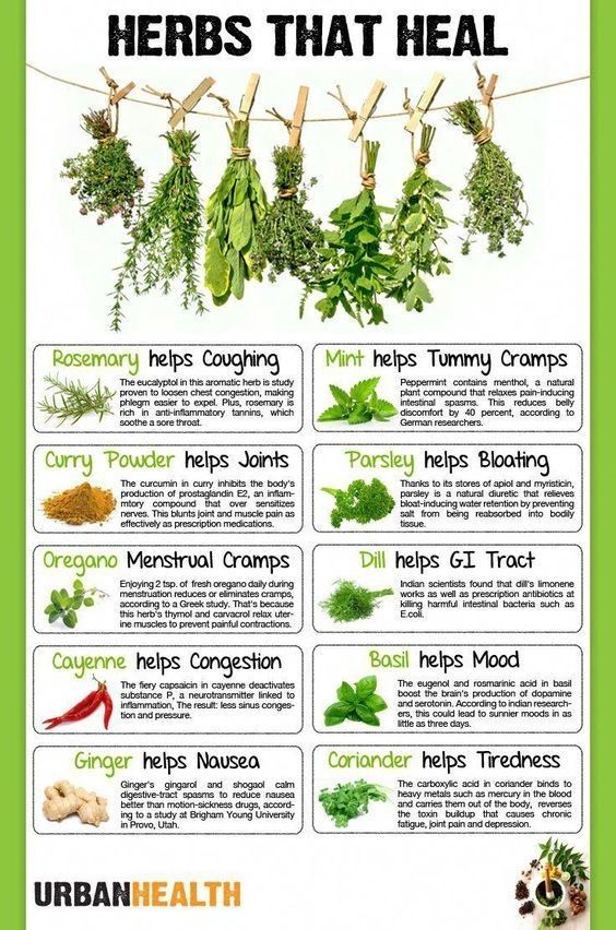 HERBS THAT IIEAL Gorry Powder helps Joris Parsie L sy Bo Greqanc Mensirual Cramps N B Cayenne helps Congesfion 7 e URBANHEALTH