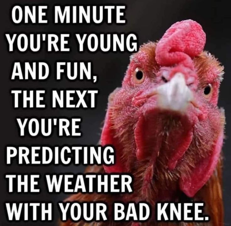 ONE MINUTE YOURE YOUNG o ANDFUN J wat THE NEXT g YOURE PREDICTING THE WEATHER WITH YOUR BAD KNEE
