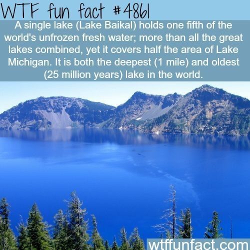 WTF fun agf 4830