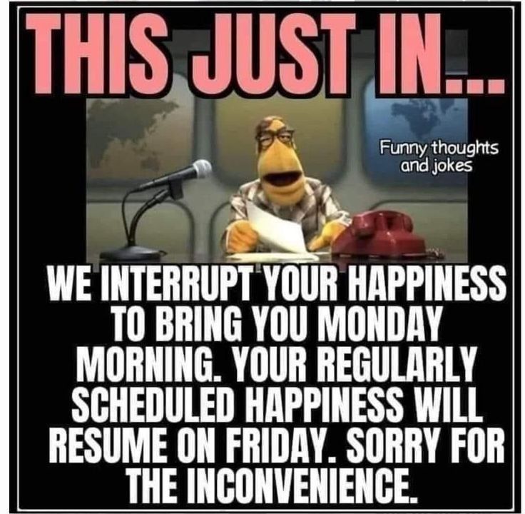 THISJUST IN any thoughts and jokes WE INTERRUPT YOUR HAPPINESS T0 BRING YOU MONDRY MORNING YOUR REGULARLY SCHEDULED HAPPINESS WILL RESUME ON FRIDAY SORRY FOR THE INCONVENIENCE