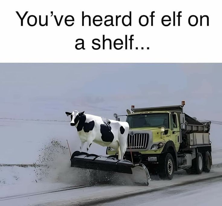Youve heard of elf on a shelf