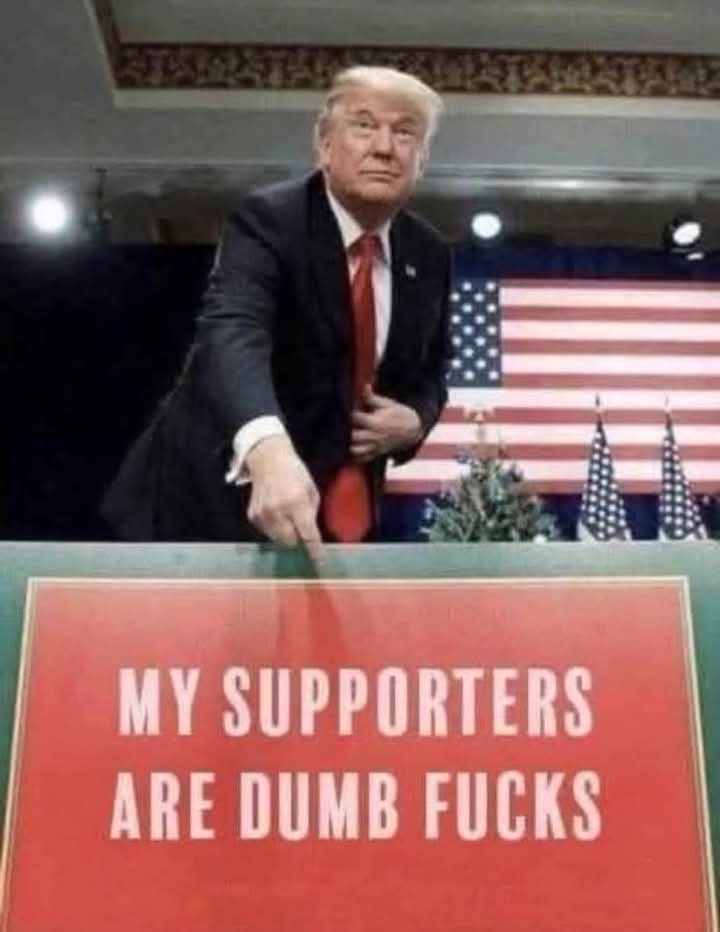 ARE DUMB FlIEIS