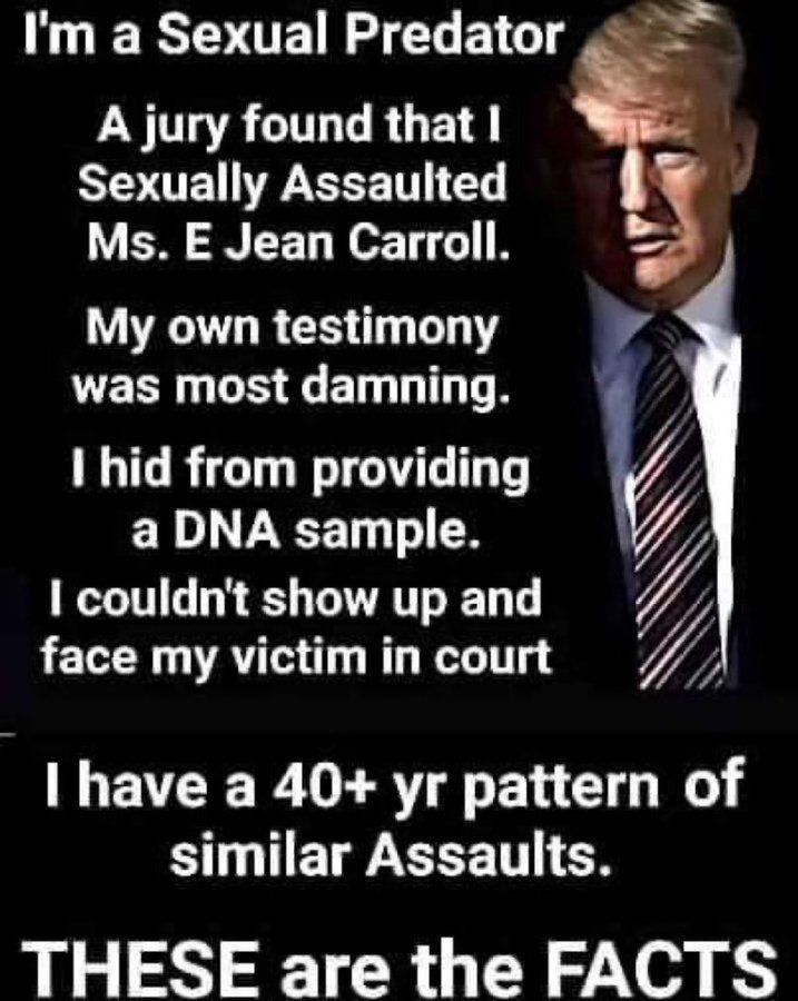 Im a Sexual Predator A jury found that Sexually Assaulted Ms E Jean Carroll My own testimony was most damning I hid from providing EL LR TR couldnt show up and face my victim in court have a 40 yr pattern of B ST ER THESE are the FACTS