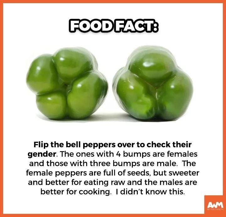 FOOD FACT Flip the bell peppers over to check their gender The ones with 4 bumps are females and those with three bumps are male The female peppers are full of seeds but sweeter and better for eating raw and the males are better for cooking didnt know this