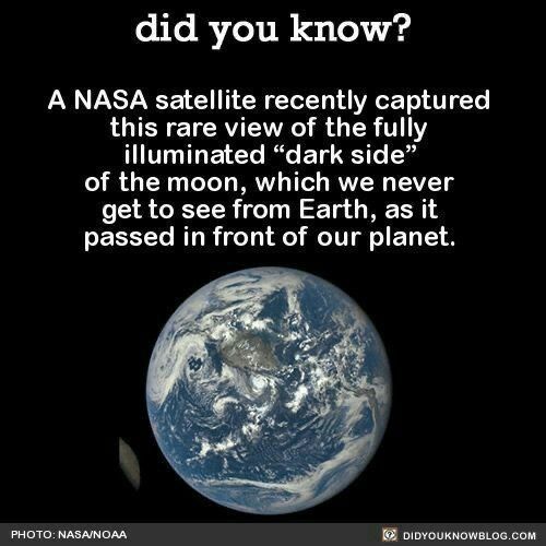 did you know A NASA satellite recently captured this rare view of the fully illuminated dark side of the moon which we never get to see from Earth as it passed in front of our planet PHOTO NASANOAA R DIDYOUKNOWSLOGCOM