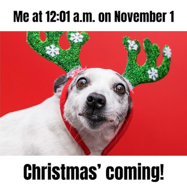 Me at 12:01 a.m. on November 1
Christmas’ coming!